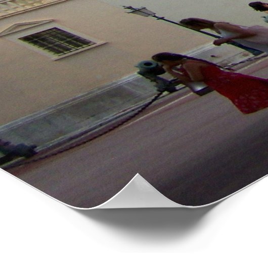 Monaco Palace in Monte Carlo Poster (Ecke)