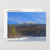Monadnock Schnee und Eichenblättern Postkarte (Vorne/Hinten)