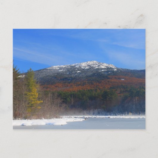 Monadnock Schnee und Eichenblättern Postkarte (Vorderseite)