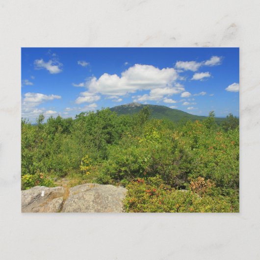 Monadnock vom Gap Mountain Postkarte (Vorderseite)
