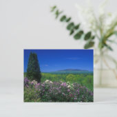 Monadnock von der Kathedrale der Pines Postkarte (Stehend Vorderseite)