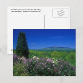 Monadnock von der Kathedrale der Pines Postkarte (Vorne/Hinten)