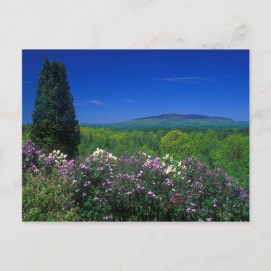 Monadnock von der Kathedrale der Pines Postkarte (Vorderseite)
