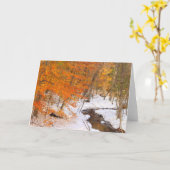 Monadnock-Wald-Stream und Schneebänder Karte (Gelbe Blume)