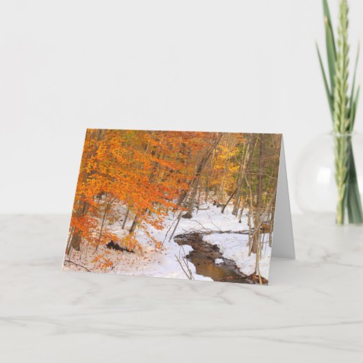 Monadnock-Wald-Stream und Schneebänder Karte (Vorderseite)