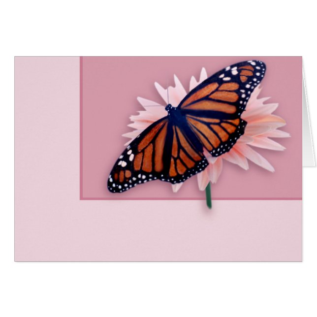 Monarch (Vorderseite (Horizontal))