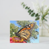 Monarch 38 ~ Postkarte (Stehend Vorderseite)