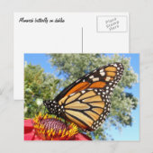 Monarch 38 ~ Postkarte (Vorne/Hinten)
