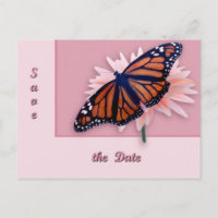 Monarch