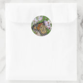 Monarch auf Asters-Sticker Runder Aufkleber (Tasche)