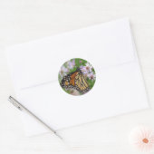 Monarch auf Asters-Sticker Runder Aufkleber (Umschlag)