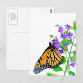 Monarch auf Blossom Postkarte (Vorne/Hinten)