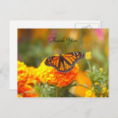 Monarch auf der Postkarte von Marigold TY (Vorne/Hinten)