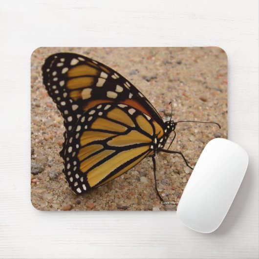 Monarch auf der Straße Mousepad (Mit Mouse)