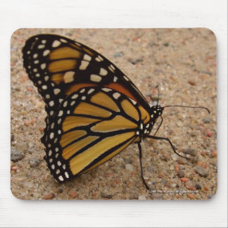 Monarch auf der Straße Mousepad