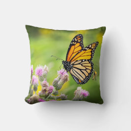 Monarch auf Distel Kissen