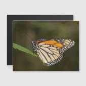 Monarch auf einem Blatt Magnetkarte (Vorne/Hinten)