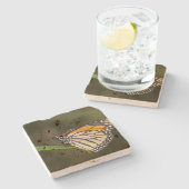 Monarch auf einem Blatt Steinuntersetzer (Seitenansicht)
