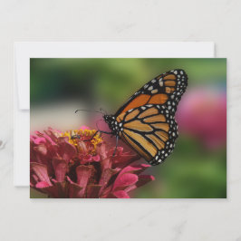 Monarch auf einem Zinnia - Flachgrusskarte Karte