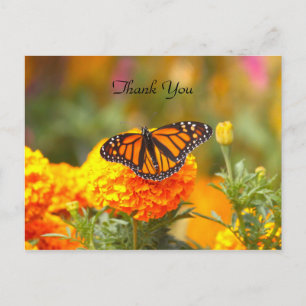Monarch auf einer Marigold-TY-Postkarte Postkarte