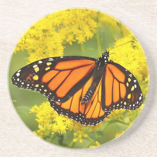 Monarch auf Goldenrod Getränkeuntersetzer (Vorne)