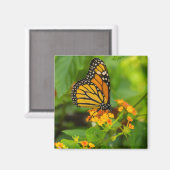 Monarch auf Lantana Magnet (Vorderseite/Rückseite)