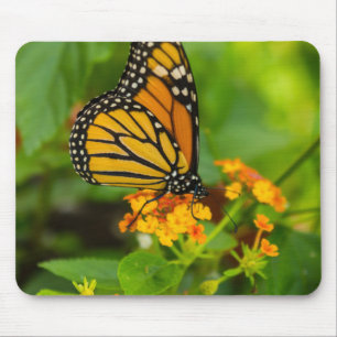 Monarch auf Lantana Mousepad