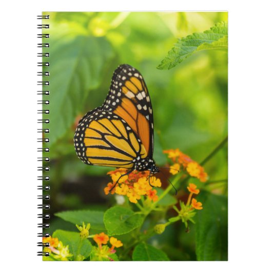 Monarch auf Lantana Notizblock (Vorderseite)