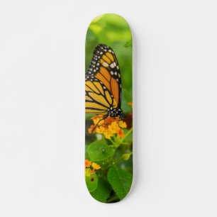 Monarch auf Lantana Skateboard