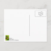 Monarch auf Lantana Vielen Dank Postkarte (Rückseite)