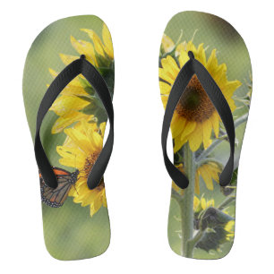 Monarch auf Sonnenblumen drehen Badesandalen