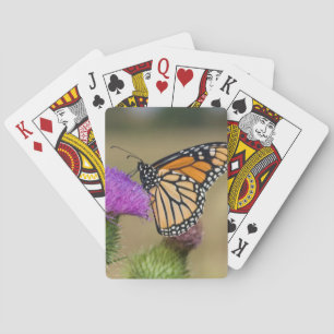 Monarch auf Weide Distel-Grasland Ridge Spielkarten