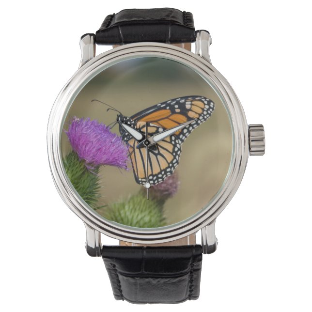 Monarch auf Weide Thistle Prairie Ridge Armbanduhr (Vorderseite)