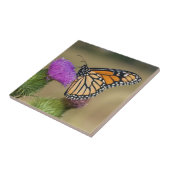 Monarch auf Weide Thistle Prairie Ridge Fliese (Seite)
