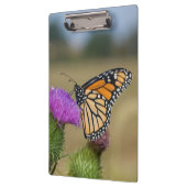 Monarch auf Weide Thistle Prairie Ridge Klemmbrett (Links)
