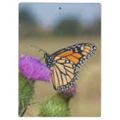 Monarch auf Weide Thistle Prairie Ridge Klemmbrett (Rückseite)