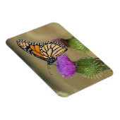 Monarch auf Weide Thistle Prairie Ridge Magnet (Rechte Seite)