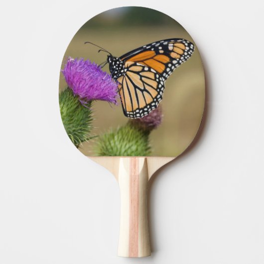 Monarch auf Weide Thistle Prairie Ridge Tischtennis Schläger (Vorderseite)