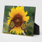 Monarch Butterblüten auf Sonnenblumen Fotoplatte (Seite)
