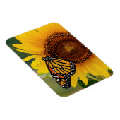 Monarch Butterblüten auf Sonnenblumen Magnet (Rechte Seite)