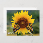 Monarch Butterblüten auf Sonnenblumen Postkarte (Vorne/Hinten)