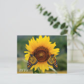 Monarch Butterblüten auf Sonnenblumen Postkarte (Stehend Vorderseite)