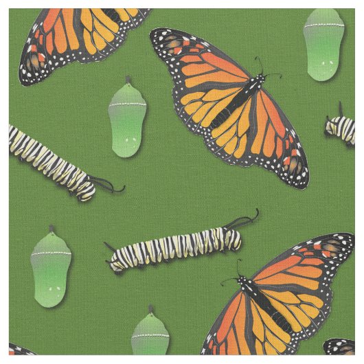 Monarch Butterfett-Raupen Stoff (Nahaufnahme)