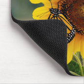 Monarch Butterfies auf Sonnenblume Mousepad (Ecke)