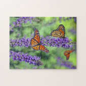 Monarch Butterfliegen Fütternd auf der Lila Blume  Puzzle (Horizontal)