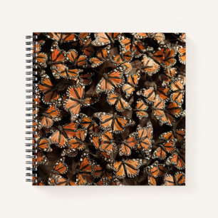 Monarch Butterfliegen Notizblock