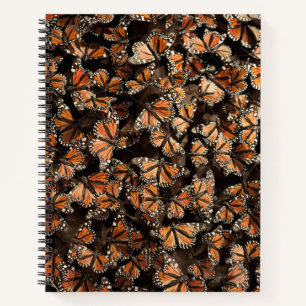 Monarch Butterfliegen Notizblock