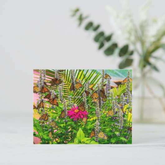 Monarch Butterfliegen Postkarte (Stehend Vorderseite)