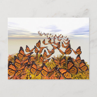 Monarch Butterflies Gather Postkarte