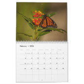 Monarch Butterflies-Kalender 2025 Kalender (Feb 2026)